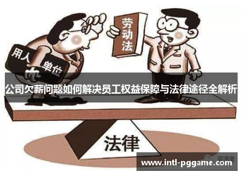 公司欠薪问题如何解决员工权益保障与法律途径全解析