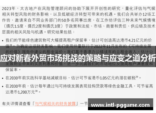应对新春外贸市场挑战的策略与应变之道分析