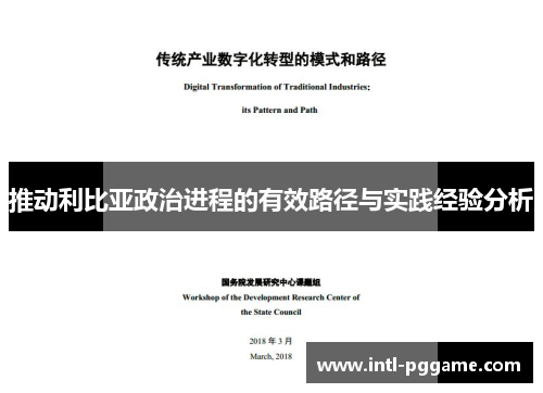 推动利比亚政治进程的有效路径与实践经验分析