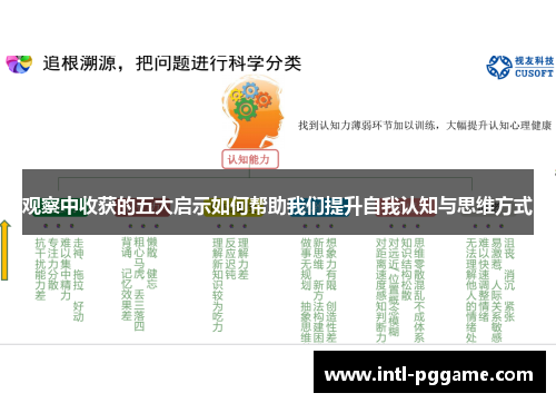 观察中收获的五大启示如何帮助我们提升自我认知与思维方式